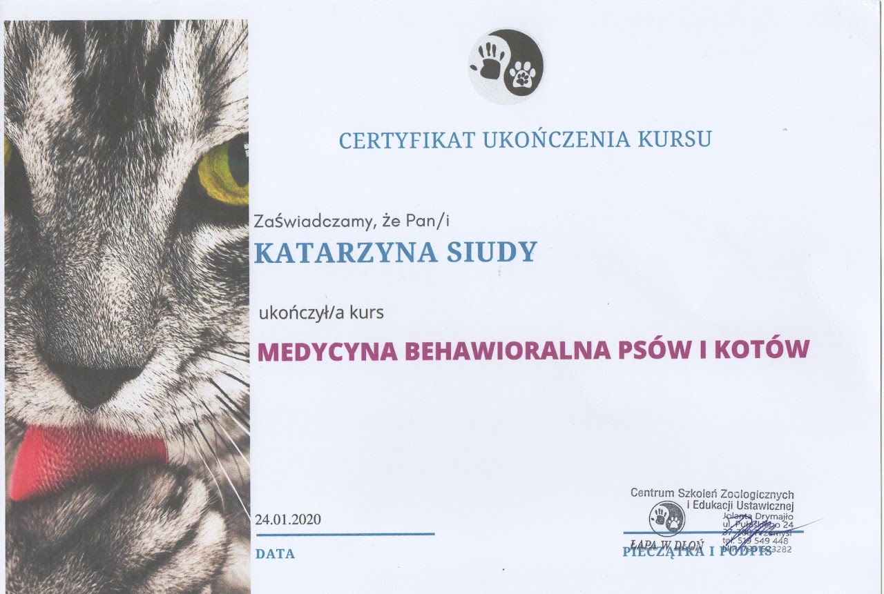 Certyfikat #8